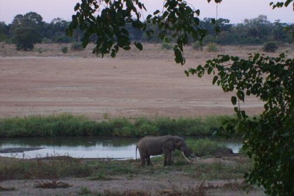 Fleet Foot Safaris