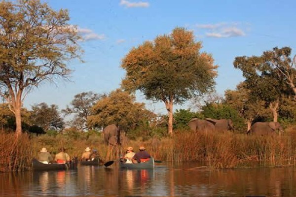 Fleet Foot Safaris