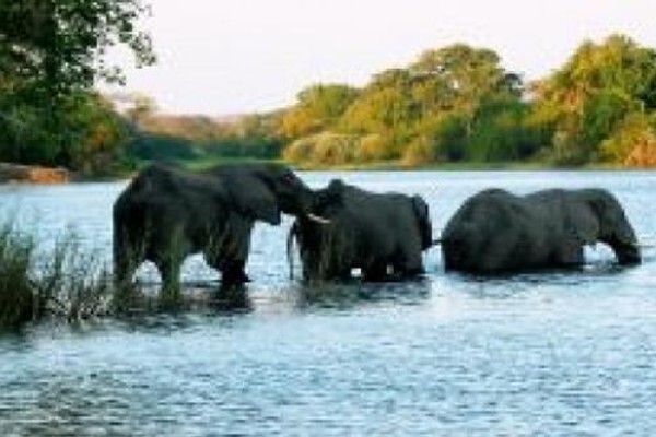 Fleet Foot Safaris