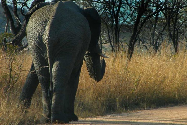 Fleet Foot Safaris