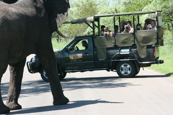 Kurt Safari