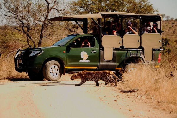 Kurt Safari
