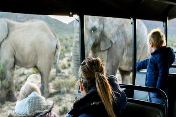 Pg Tops Travel And Tours