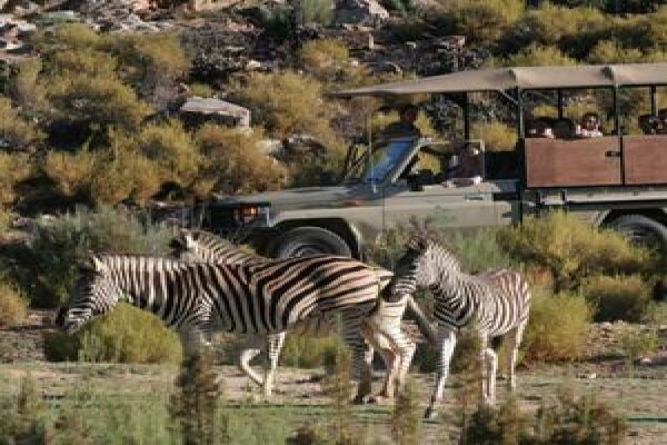 Pg Tops Travel And Tours