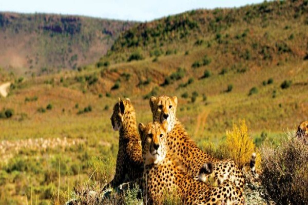 Pg Tops Travel And Tours