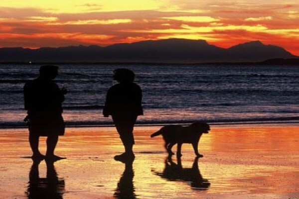 Cape Town Private Tours & Airport Transfers