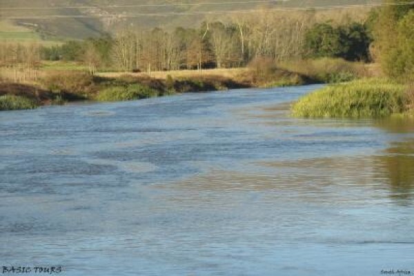 Basic Tours