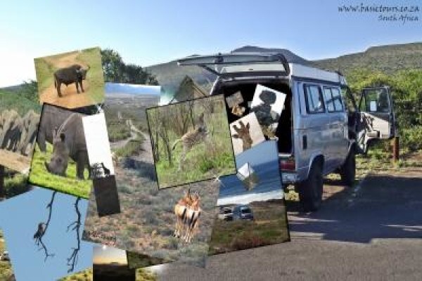 Basic Tours
