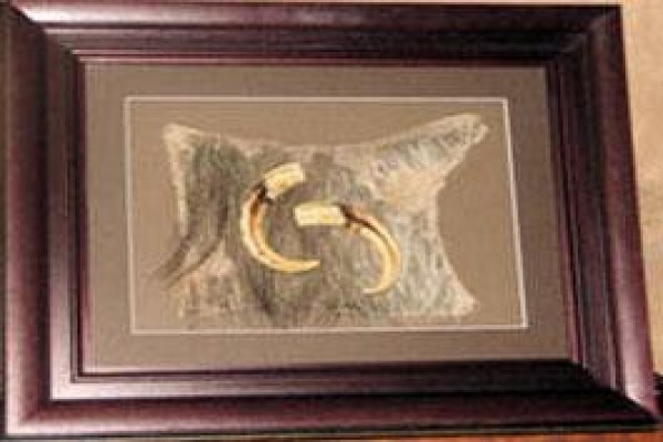 Artomartha Framing Emporium