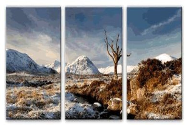 Paramount Mirrors And Prints