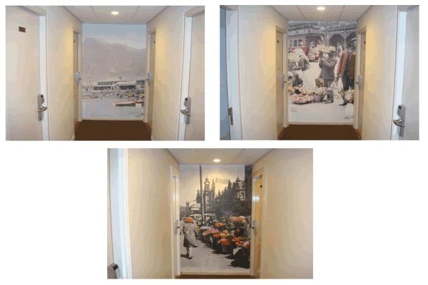 Paramount Mirrors And Prints