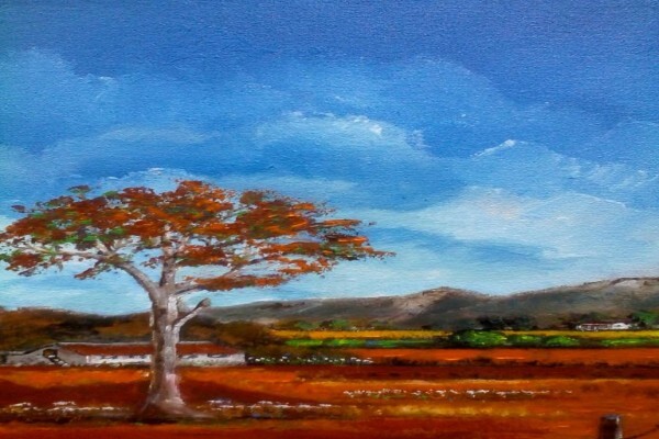 Gallery Fabriano