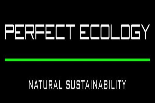 Perfectcar Eco Friendly Waterless Car Wash