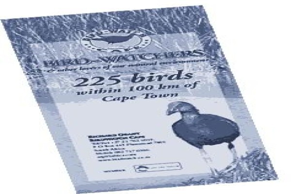 Bird-Watch Cape Tours