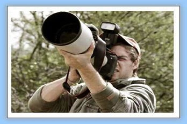 Bird-Watch Cape Tours
