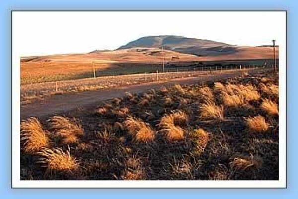 Bird-Watch Cape Tours