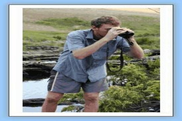Bird-Watch Cape Tours