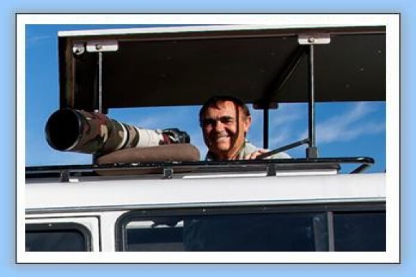 Bird-Watch Cape Tours