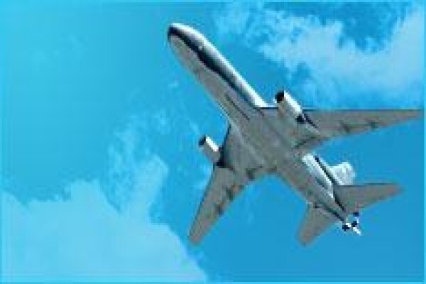 Worldwide Movers Sd Trans Freight