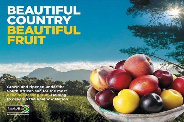 South African Fruit