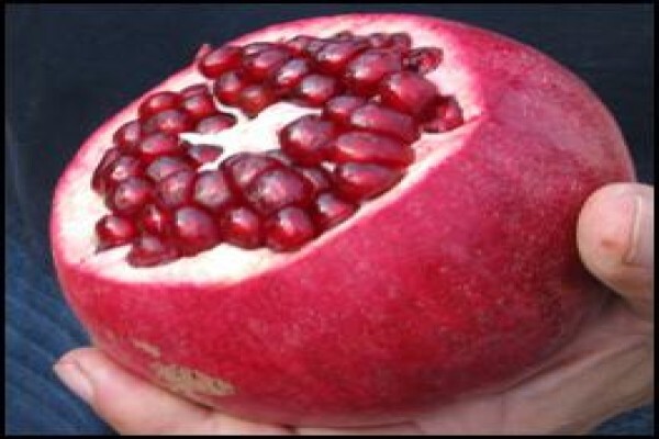 Alternafruit
