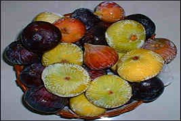 Alternafruit