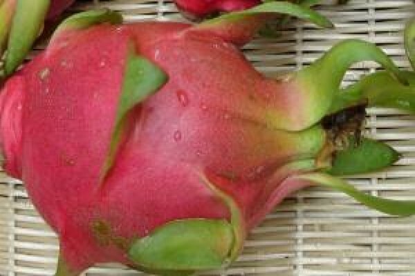Alternafruit