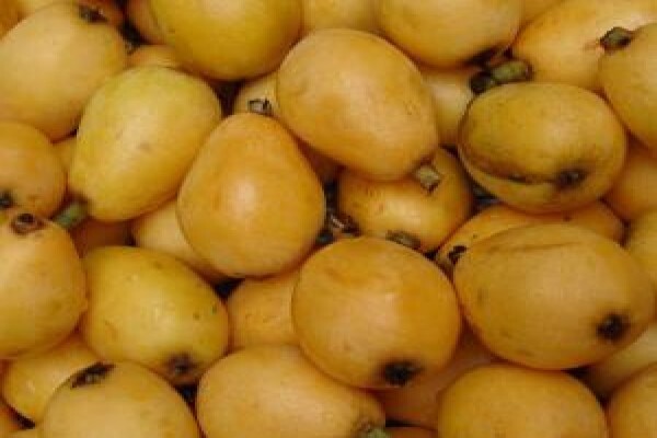 Alternafruit