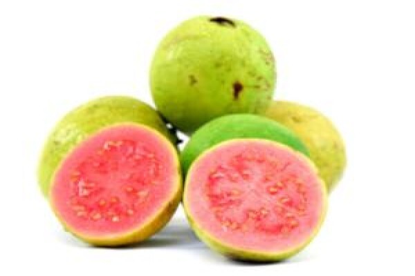 Guava Producers