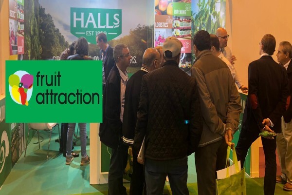 H L Hall And Sons