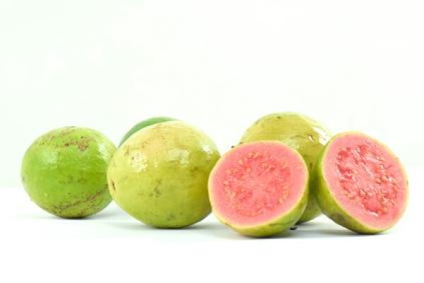 Guava Producers