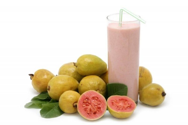 Guava Producers