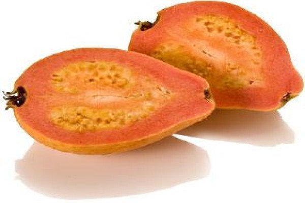Guava Producers