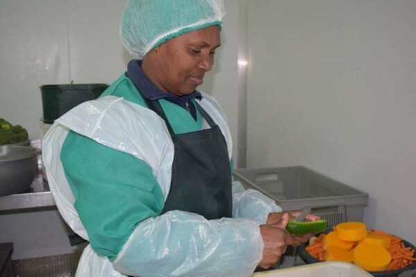 Loerie Processed Veg