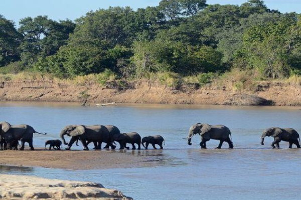 African Reservations