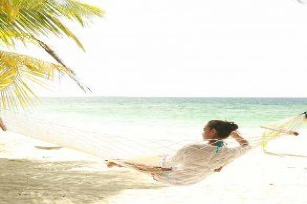 Aloe Travel