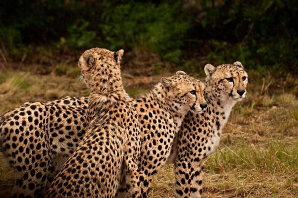 Eyethuyarona Travel & Tours