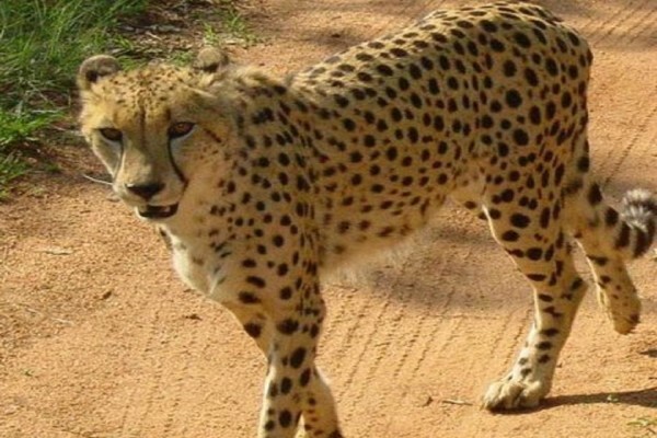 Eyethuyarona Travel & Tours