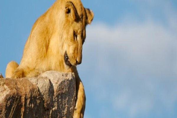 Nomad Adventure Tours & Holidays CC
