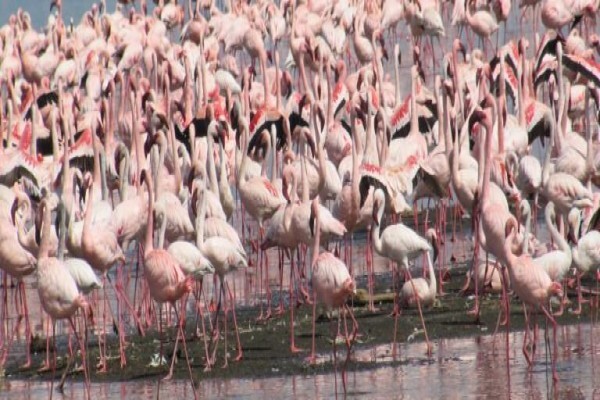 Nomad Adventure Tours & Holidays CC