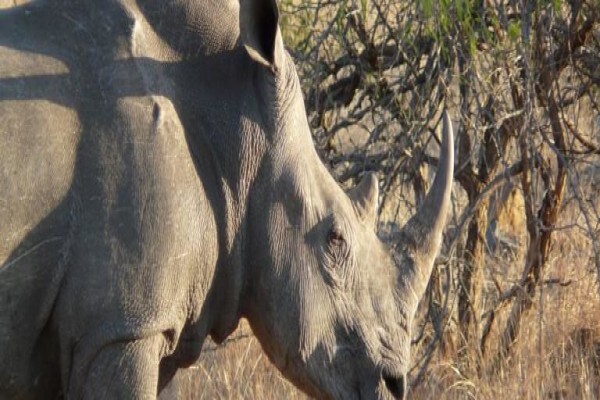 Nomad Adventure Tours & Holidays CC
