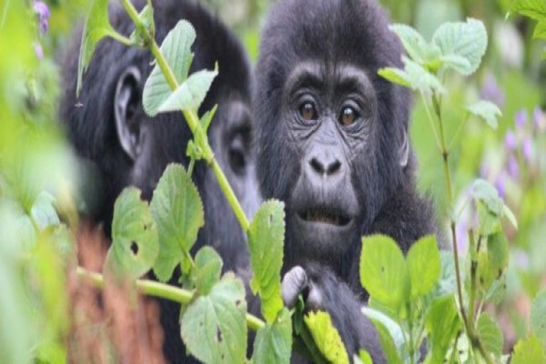 Nomad Adventure Tours & Holidays CC