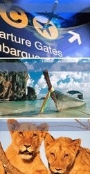 Travel Associates