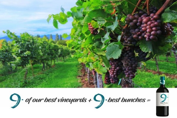 Leatherwood Wines