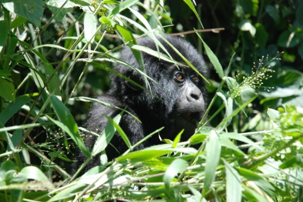 Worldwide Adventure Travel (Pty) Ltd