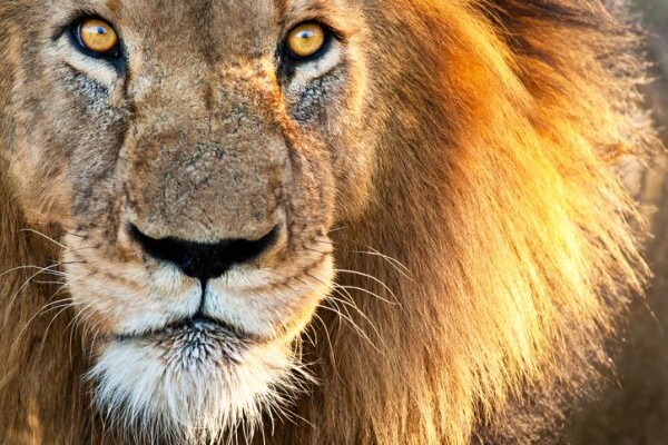 Worldwide Adventure Travel (Pty) Ltd