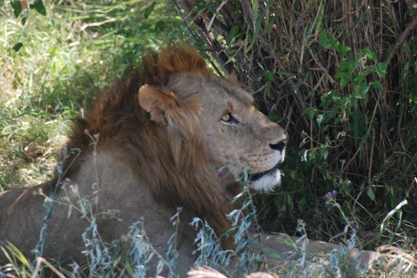 Worldwide Adventure Travel (Pty) Ltd