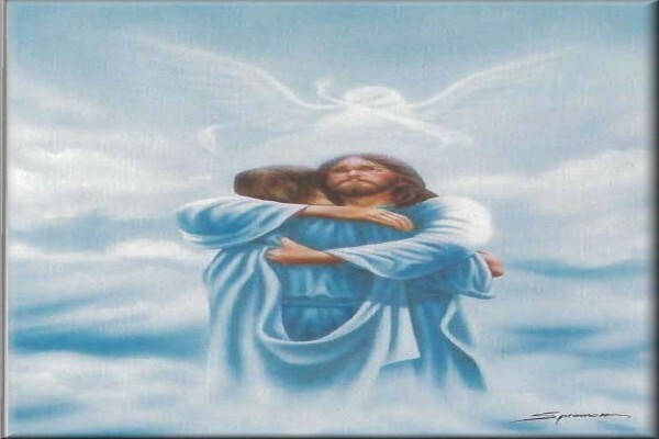 Abel Funeral Services