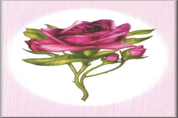 Abel Funeral Services