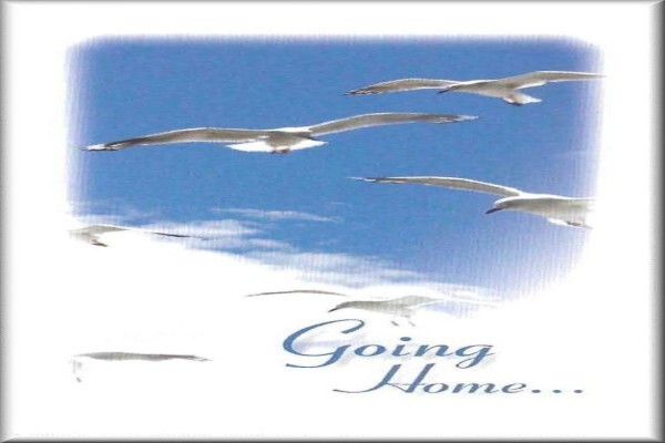 Abel Funeral Services